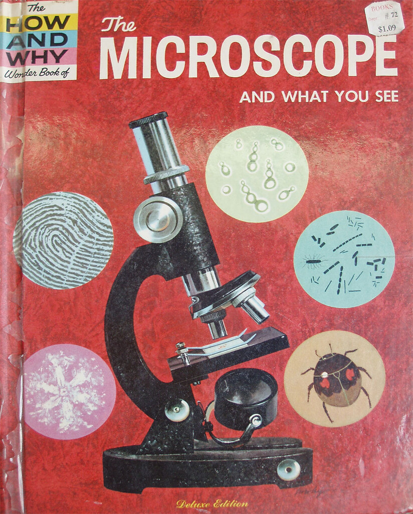 Microscópio infantil ou lupa exploradora como presente para menina de 7 anos